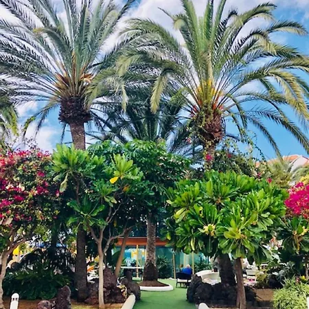 Apartman Ferienwohnung Fur 4 Personen Ca 60 Qm In Playa De Americas, Teneriffa Playa De Americas Und Cristianos
